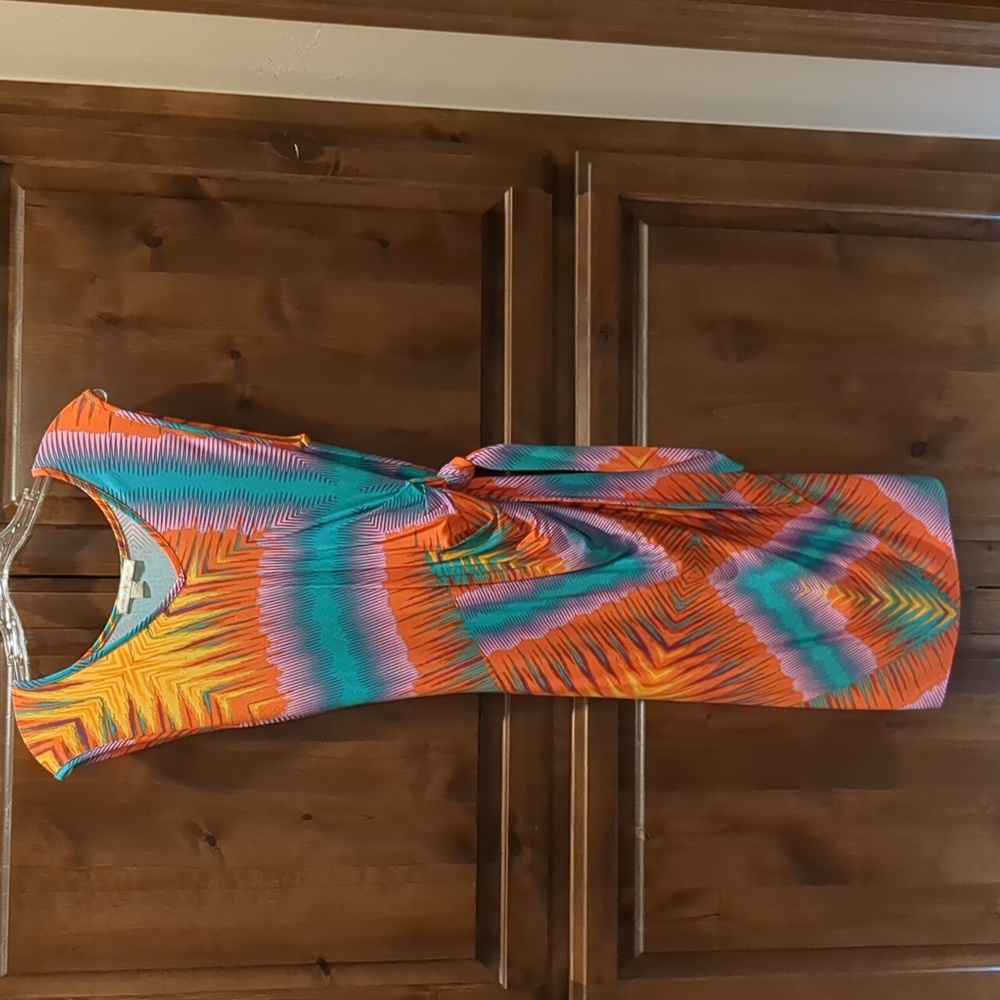 Bright, multi-color, multi-function dress.